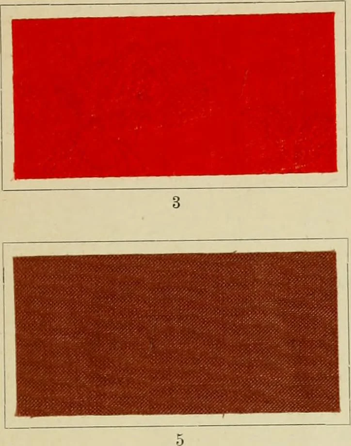 An illustration from The coal tar colours of Farbwerke vorm. Meister Lucius & Brüning : Hoechst on Main : and their application in dyeing cotton and other vegetable fibres, 1907, leaf 28