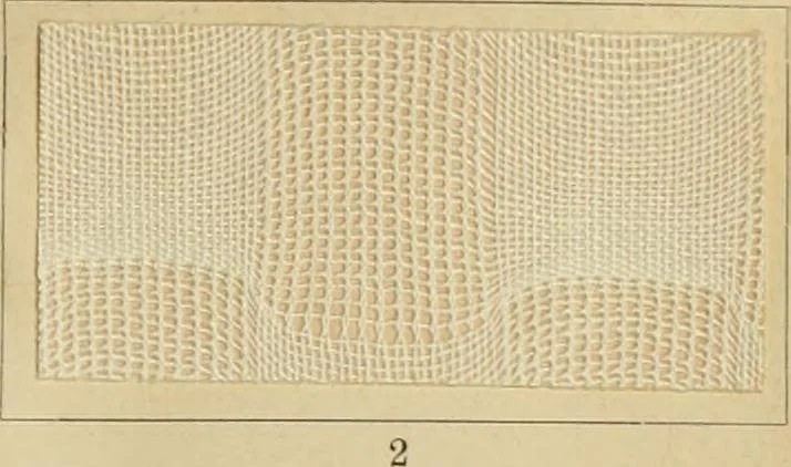 An illustration from The coal tar colours of Farbwerke vorm. Meister Lucius & Brüning : Hoechst on Main : and their application in dyeing cotton and other vegetable fibres, 1907, leaf 32
