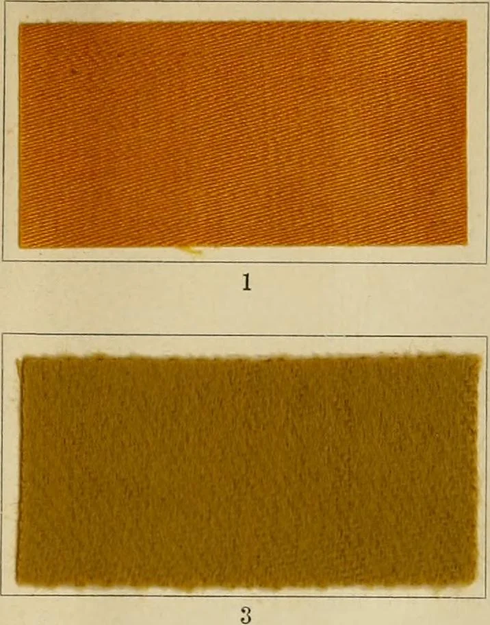 An illustration from The coal tar colours of Farbwerke vorm. Meister Lucius & Brüning : Hoechst on Main : and their application in dyeing cotton and other vegetable fibres, 1907, leaf 34