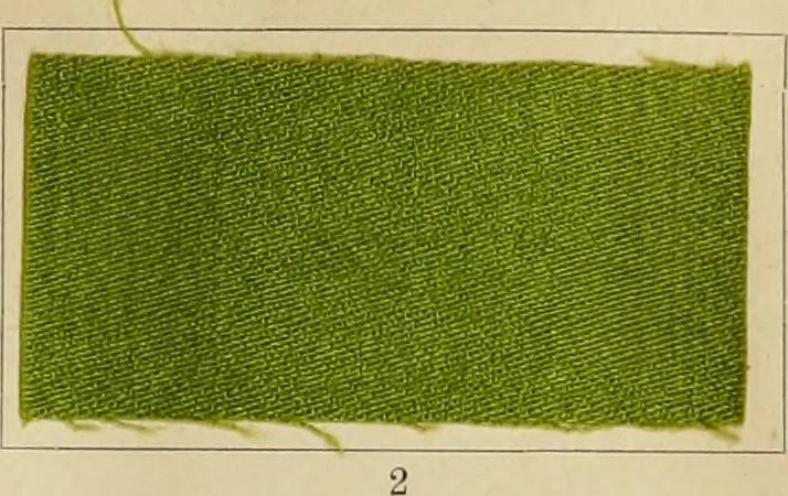 An illustration from The coal tar colours of Farbwerke vorm. Meister Lucius & Brüning : Hoechst on Main : and their application in dyeing cotton and other vegetable fibres, 1907, leaf 34