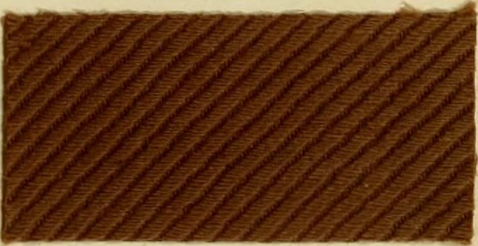 An illustration from The coal tar colours of Farbwerke vorm. Meister Lucius & Brüning : Hoechst on Main : and their application in dyeing cotton and other vegetable fibres, 1907, leaf 34