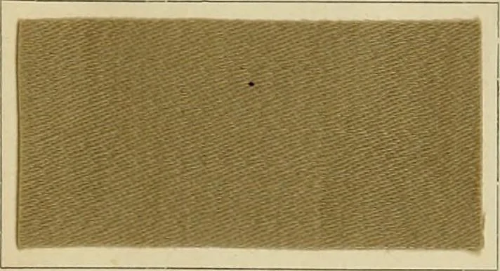 An illustration from The coal tar colours of Farbwerke vorm. Meister Lucius & Brüning : Hoechst on Main : and their application in dyeing cotton and other vegetable fibres, 1907, leaf 34