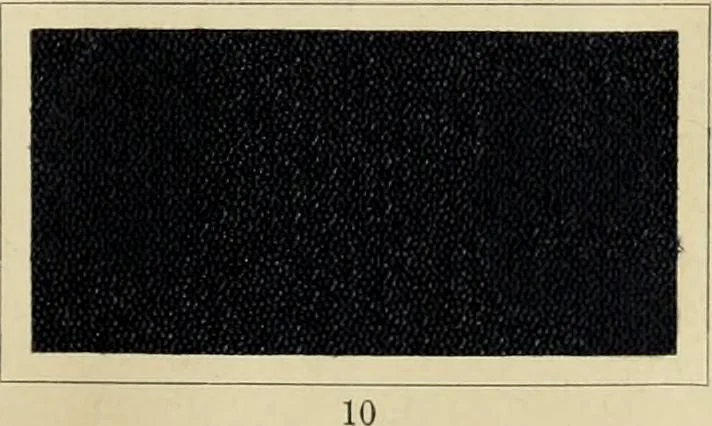 An illustration from The coal tar colours of Farbwerke vorm. Meister Lucius & Brüning : Hoechst on Main : and their application in dyeing cotton and other vegetable fibres, 1907, leaf 34