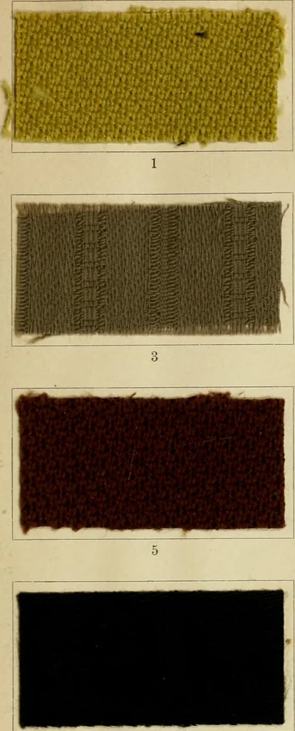 An illustration from The coal tar colours of Farbwerke vorm. Meister Lucius & Brüning : Hoechst on Main : and their application in dyeing cotton and other vegetable fibres, 1907, leaf 42