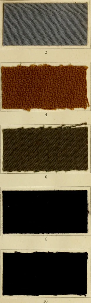 An illustration from The coal tar colours of Farbwerke vorm. Meister Lucius & Brüning : Hoechst on Main : and their application in dyeing cotton and other vegetable fibres, 1907, leaf 42
