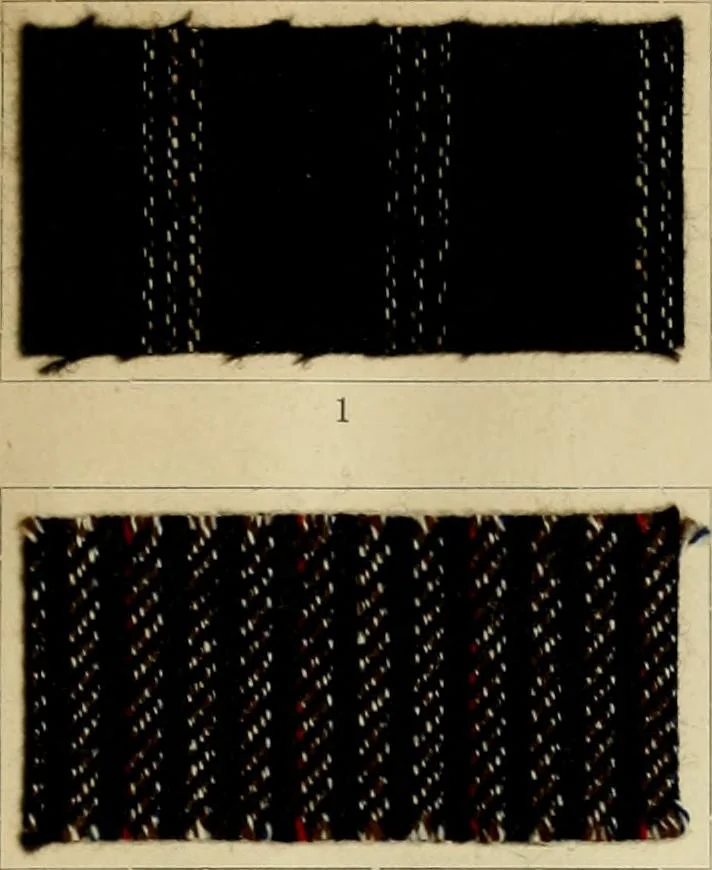An illustration from The coal tar colours of Farbwerke vorm. Meister Lucius & Brüning : Hoechst on Main : and their application in dyeing cotton and other vegetable fibres, 1907, leaf 46