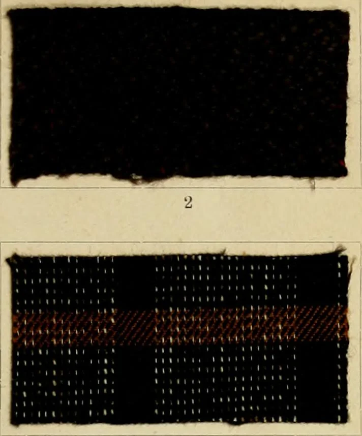 An illustration from The coal tar colours of Farbwerke vorm. Meister Lucius & Brüning : Hoechst on Main : and their application in dyeing cotton and other vegetable fibres, 1907, leaf 46