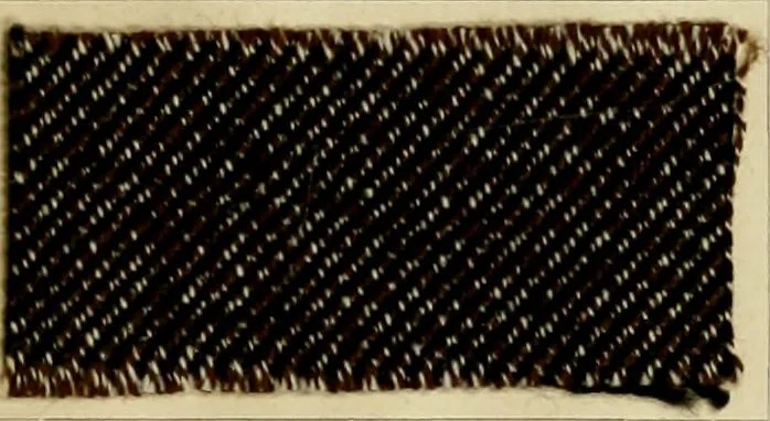 An illustration from The coal tar colours of Farbwerke vorm. Meister Lucius & Brüning : Hoechst on Main : and their application in dyeing cotton and other vegetable fibres, 1907, leaf 46