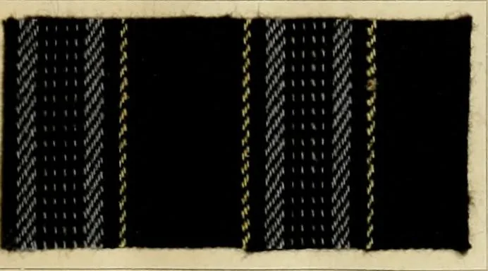 An illustration from The coal tar colours of Farbwerke vorm. Meister Lucius & Brüning : Hoechst on Main : and their application in dyeing cotton and other vegetable fibres, 1907, leaf 46