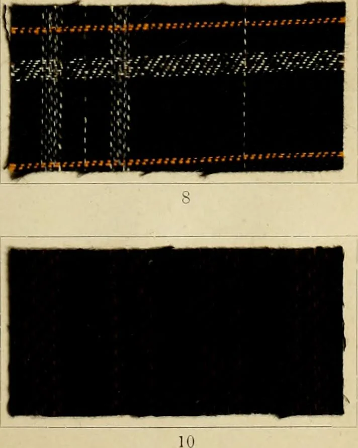 An illustration from The coal tar colours of Farbwerke vorm. Meister Lucius & Brüning : Hoechst on Main : and their application in dyeing cotton and other vegetable fibres, 1907, leaf 46