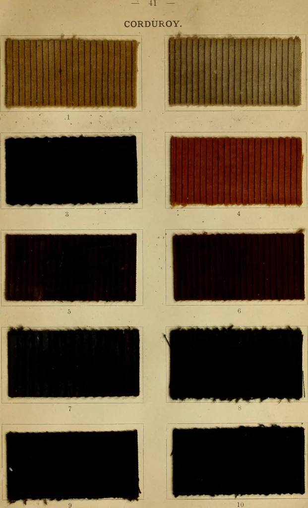 An illustration from The coal tar colours of Farbwerke vorm. Meister Lucius & Brüning : Hoechst on Main : and their application in dyeing cotton and other vegetable fibres, 1907, leaf 48