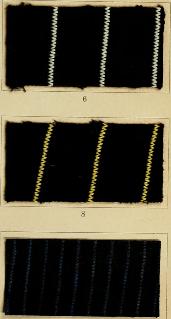 An illustration from The coal tar colours of Farbwerke vorm. Meister Lucius & Brüning : Hoechst on Main : and their application in dyeing cotton and other vegetable fibres, 1907, leaf 54