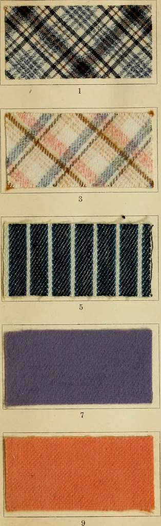 An illustration from The coal tar colours of Farbwerke vorm. Meister Lucius & Brüning : Hoechst on Main : and their application in dyeing cotton and other vegetable fibres, 1907, leaf 56