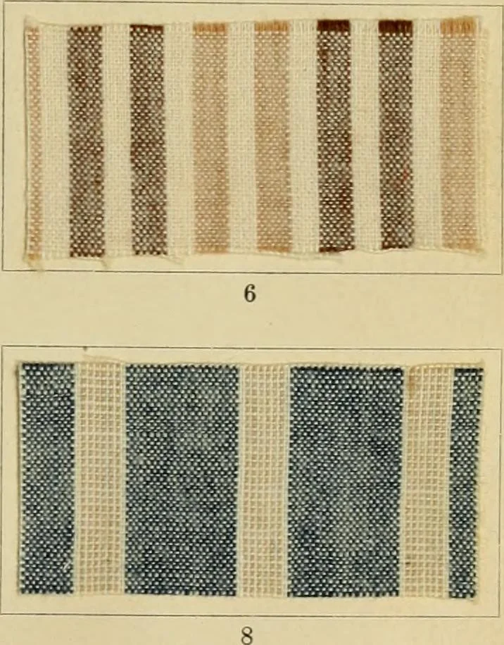 An illustration from The coal tar colours of Farbwerke vorm. Meister Lucius & Brüning : Hoechst on Main : and their application in dyeing cotton and other vegetable fibres, 1907, leaf 58