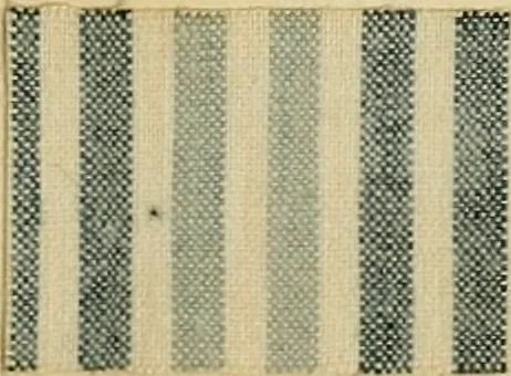 An illustration from The coal tar colours of Farbwerke vorm. Meister Lucius & Brüning : Hoechst on Main : and their application in dyeing cotton and other vegetable fibres, 1907, leaf 58