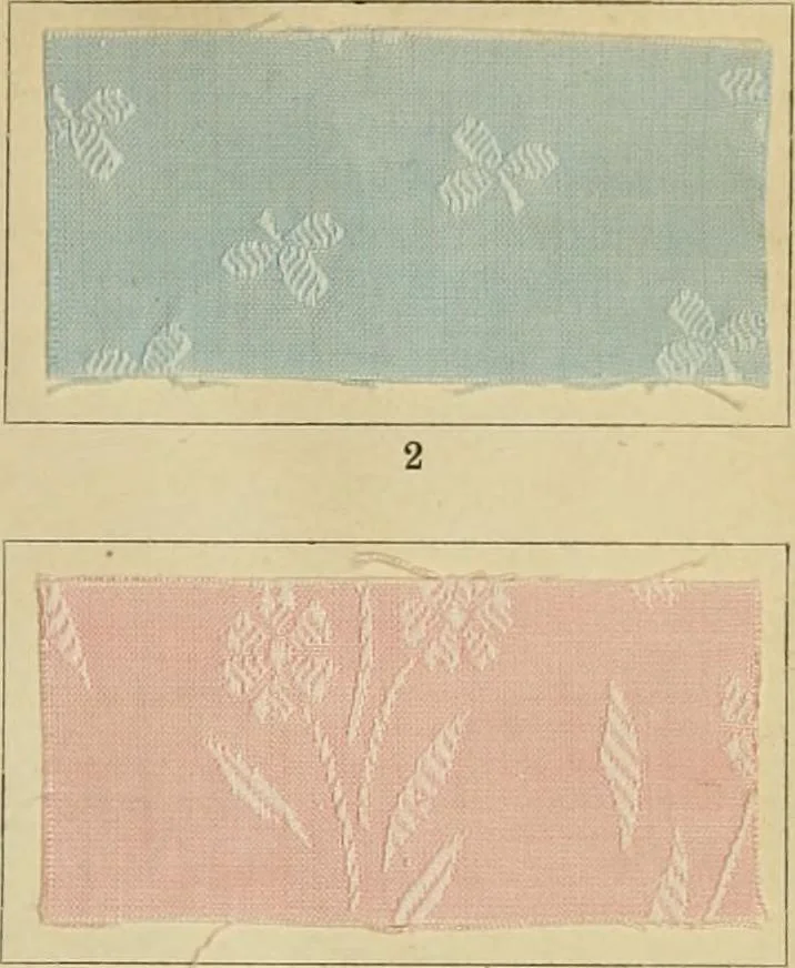 An illustration from The coal tar colours of Farbwerke vorm. Meister Lucius & Brüning : Hoechst on Main : and their application in dyeing cotton and other vegetable fibres, 1907, leaf 60