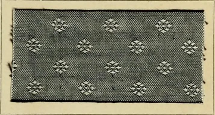 An illustration from The coal tar colours of Farbwerke vorm. Meister Lucius & Brüning : Hoechst on Main : and their application in dyeing cotton and other vegetable fibres, 1907, leaf 60