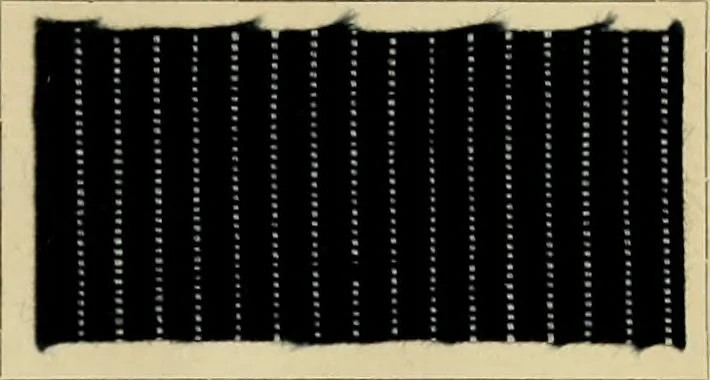 An illustration from The coal tar colours of Farbwerke vorm. Meister Lucius & Brüning : Hoechst on Main : and their application in dyeing cotton and other vegetable fibres, 1907, leaf 62