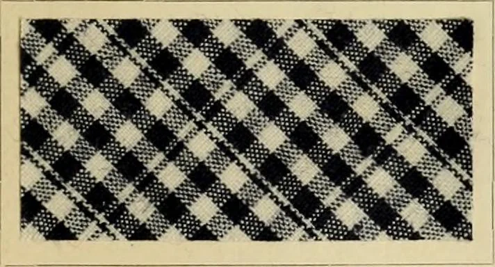 An illustration from The coal tar colours of Farbwerke vorm. Meister Lucius & Brüning : Hoechst on Main : and their application in dyeing cotton and other vegetable fibres, 1907, leaf 62