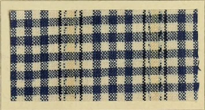 An illustration from The coal tar colours of Farbwerke vorm. Meister Lucius & Brüning : Hoechst on Main : and their application in dyeing cotton and other vegetable fibres, 1907, leaf 62