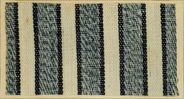 An illustration from The coal tar colours of Farbwerke vorm. Meister Lucius & Brüning : Hoechst on Main : and their application in dyeing cotton and other vegetable fibres, 1907, leaf 64