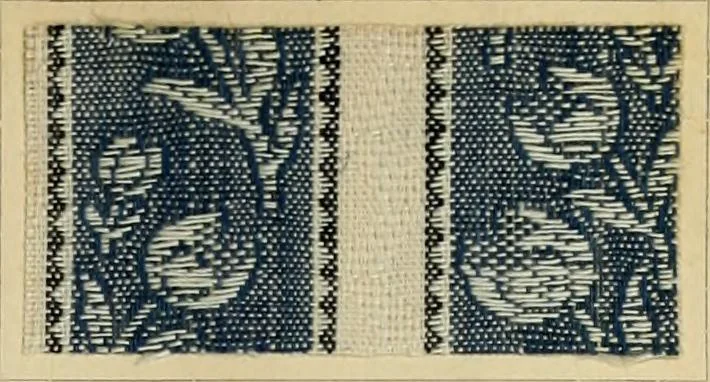 An illustration from The coal tar colours of Farbwerke vorm. Meister Lucius & Brüning : Hoechst on Main : and their application in dyeing cotton and other vegetable fibres, 1907, leaf 64