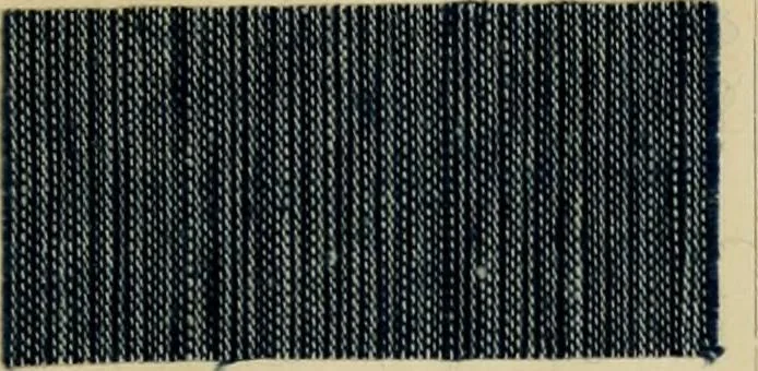 An illustration from The coal tar colours of Farbwerke vorm. Meister Lucius & Brüning : Hoechst on Main : and their application in dyeing cotton and other vegetable fibres, 1907, leaf 64