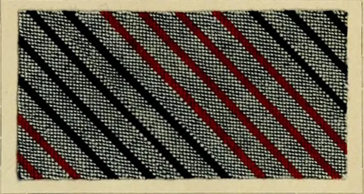 An illustration from The coal tar colours of Farbwerke vorm. Meister Lucius & Brüning : Hoechst on Main : and their application in dyeing cotton and other vegetable fibres, 1907, leaf 64