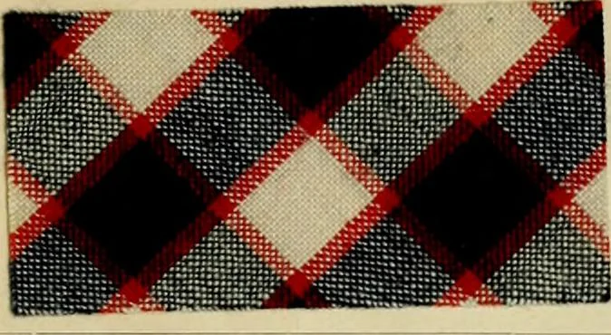 An illustration from The coal tar colours of Farbwerke vorm. Meister Lucius & Brüning : Hoechst on Main : and their application in dyeing cotton and other vegetable fibres, 1907, leaf 64