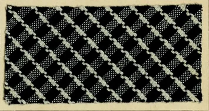An illustration from The coal tar colours of Farbwerke vorm. Meister Lucius & Brüning : Hoechst on Main : and their application in dyeing cotton and other vegetable fibres, 1907, leaf 64
