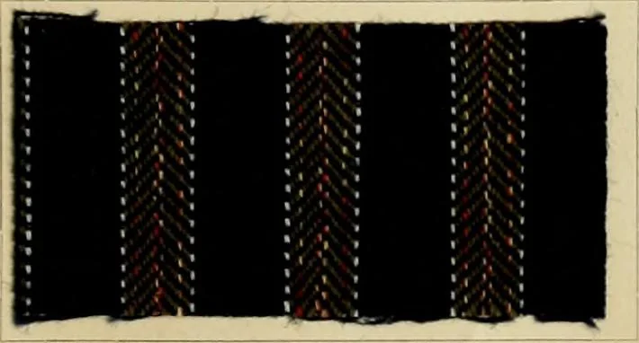 An illustration from The coal tar colours of Farbwerke vorm. Meister Lucius & Brüning : Hoechst on Main : and their application in dyeing cotton and other vegetable fibres, 1907, leaf 64
