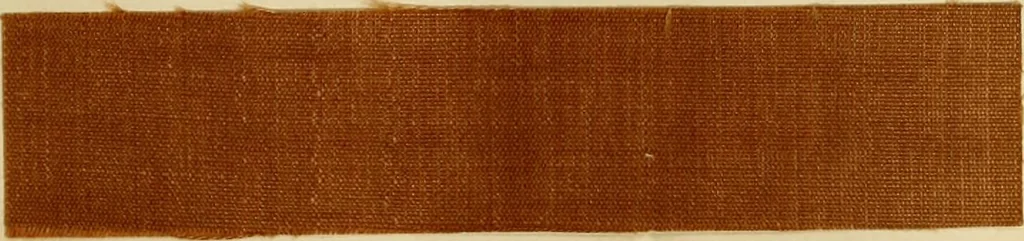 An illustration from The coal tar colours of Farbwerke vorm. Meister Lucius & Brüning : Hoechst on Main : and their application in dyeing cotton and other vegetable fibres, 1907, leaf 66