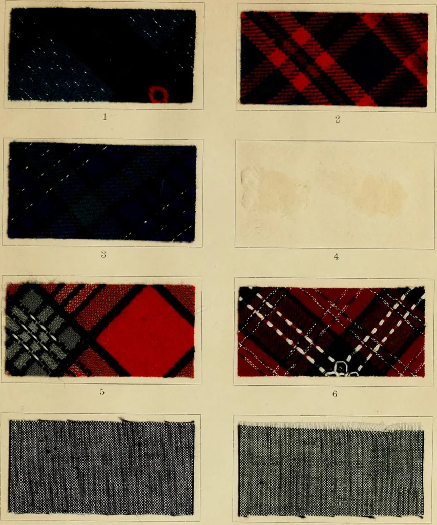 An illustration from The coal tar colours of Farbwerke vorm. Meister Lucius & Brüning : Hoechst on Main : and their application in dyeing cotton and other vegetable fibres, 1907, leaf 70