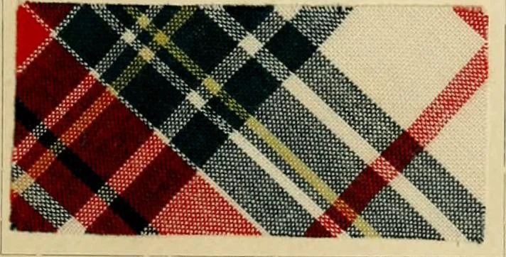 An illustration from The coal tar colours of Farbwerke vorm. Meister Lucius & Brüning : Hoechst on Main : and their application in dyeing cotton and other vegetable fibres, 1907, leaf 70
