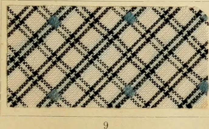 An illustration from The coal tar colours of Farbwerke vorm. Meister Lucius & Brüning : Hoechst on Main : and their application in dyeing cotton and other vegetable fibres, 1907, leaf 72