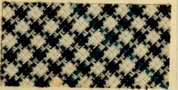 An illustration from The coal tar colours of Farbwerke vorm. Meister Lucius & Brüning : Hoechst on Main : and their application in dyeing cotton and other vegetable fibres, 1907, leaf 72