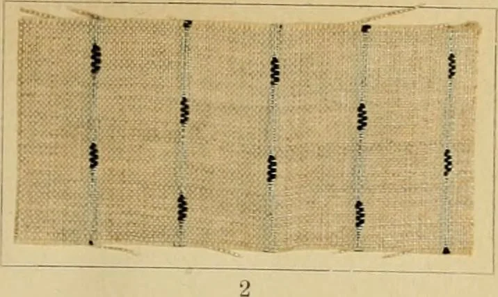 An illustration from The coal tar colours of Farbwerke vorm. Meister Lucius & Brüning : Hoechst on Main : and their application in dyeing cotton and other vegetable fibres, 1907, leaf 72
