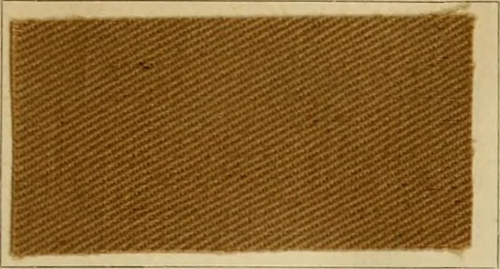 An illustration from The coal tar colours of Farbwerke vorm. Meister Lucius & Brüning : Hoechst on Main : and their application in dyeing cotton and other vegetable fibres, 1907, leaf 74