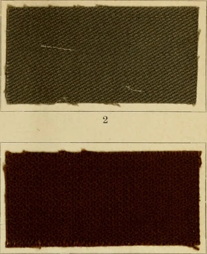 An illustration from The coal tar colours of Farbwerke vorm. Meister Lucius & Brüning : Hoechst on Main : and their application in dyeing cotton and other vegetable fibres, 1907, leaf 74