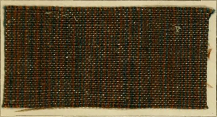 An illustration from The coal tar colours of Farbwerke vorm. Meister Lucius & Brüning : Hoechst on Main : and their application in dyeing cotton and other vegetable fibres, 1907, leaf 74