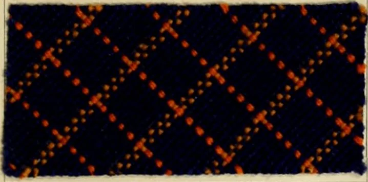 An illustration from The coal tar colours of Farbwerke vorm. Meister Lucius & Brüning : Hoechst on Main : and their application in dyeing cotton and other vegetable fibres, 1907, leaf 74