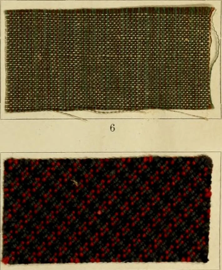 An illustration from The coal tar colours of Farbwerke vorm. Meister Lucius & Brüning : Hoechst on Main : and their application in dyeing cotton and other vegetable fibres, 1907, leaf 74
