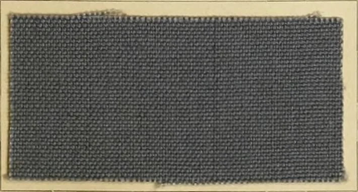 An illustration from The coal tar colours of Farbwerke vorm. Meister Lucius & Brüning : Hoechst on Main : and their application in dyeing cotton and other vegetable fibres, 1907, leaf 76