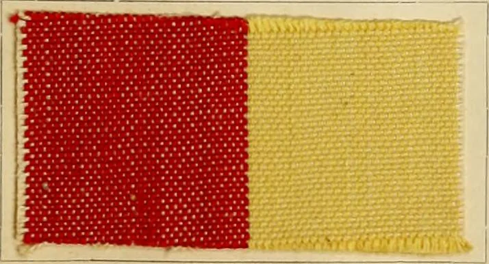 An illustration from The coal tar colours of Farbwerke vorm. Meister Lucius & Brüning : Hoechst on Main : and their application in dyeing cotton and other vegetable fibres, 1907, leaf 78