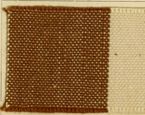 An illustration from The coal tar colours of Farbwerke vorm. Meister Lucius & Brüning : Hoechst on Main : and their application in dyeing cotton and other vegetable fibres, 1907, leaf 78