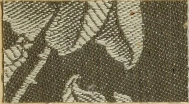 An illustration from The coal tar colours of Farbwerke vorm. Meister Lucius & Brüning : Hoechst on Main : and their application in dyeing cotton and other vegetable fibres, 1907, leaf 82