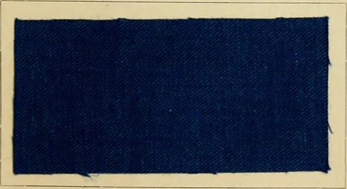 An illustration from The coal tar colours of Farbwerke vorm. Meister Lucius & Brüning : Hoechst on Main : and their application in dyeing cotton and other vegetable fibres, 1907, leaf 86