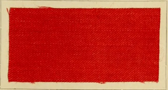 An illustration from The coal tar colours of Farbwerke vorm. Meister Lucius & Brüning : Hoechst on Main : and their application in dyeing cotton and other vegetable fibres, 1907, leaf 86