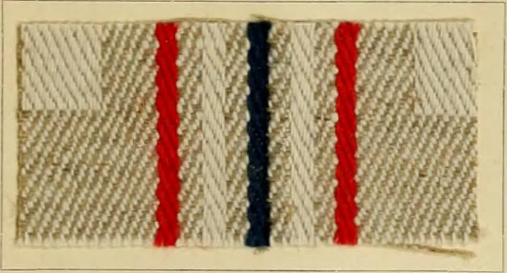 An illustration from The coal tar colours of Farbwerke vorm. Meister Lucius & Brüning : Hoechst on Main : and their application in dyeing cotton and other vegetable fibres, 1907, leaf 88