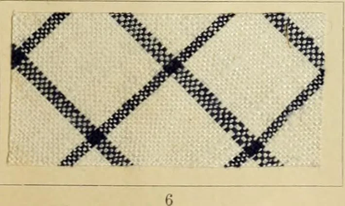 An illustration from The coal tar colours of Farbwerke vorm. Meister Lucius & Brüning : Hoechst on Main : and their application in dyeing cotton and other vegetable fibres, 1907, leaf 88